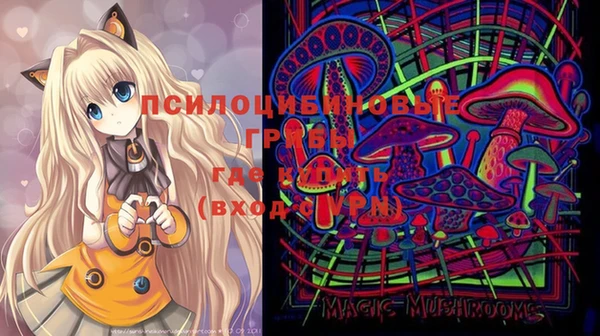apvp Зерноград