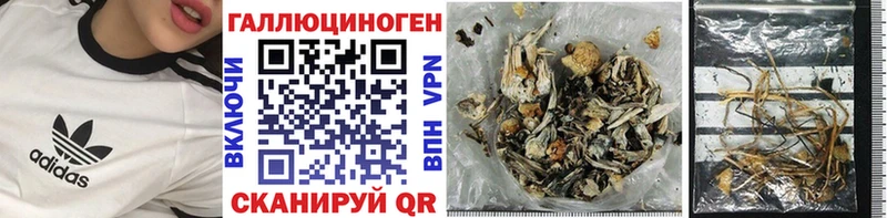 Купить где  Черноголовка  Галлюциногенные грибы ЛСД 